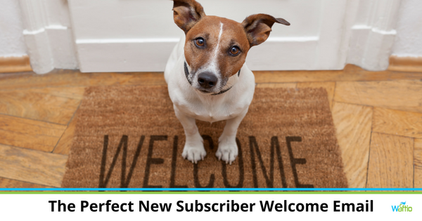 The Perfect New Subscriber Welcome Email  